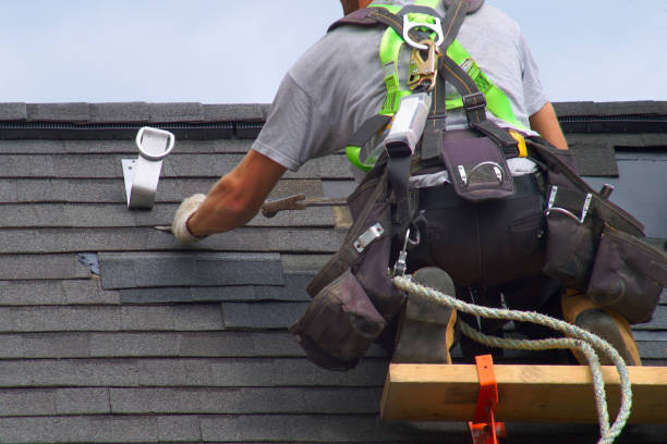 Best Roof Gutter Cleaning  in Eupora, MS
