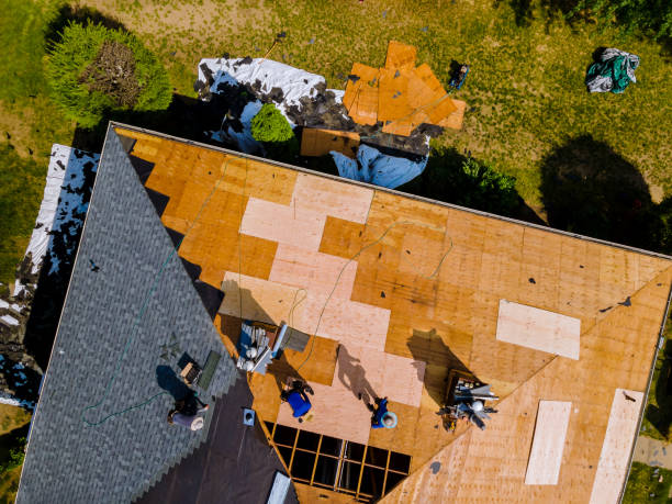 Best Roof Repair Services  in Eupora, MS