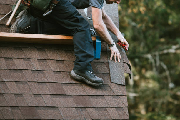Best Local Roofing Companies  in Eupora, MS