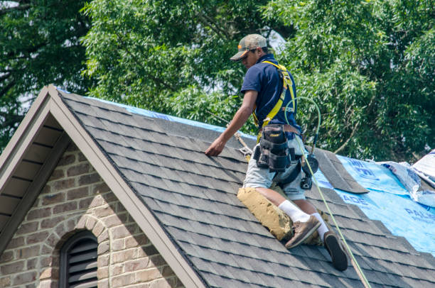Best Roof Waterproofing Services  in Eupora, MS