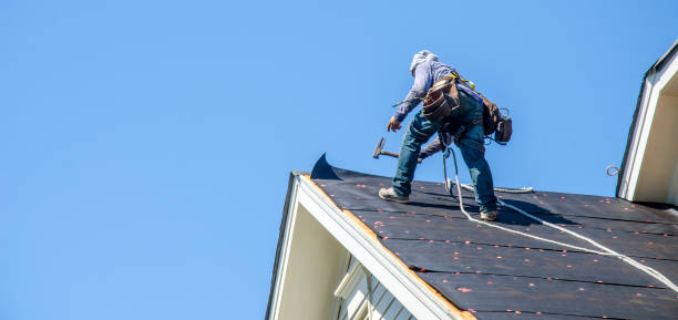 Best Roof Maintenance Services  in Eupora, MS